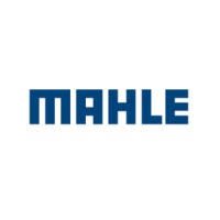 MAHLE ANAND Filter Systems Pvt. Ltd.